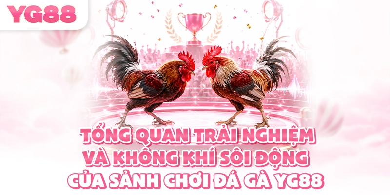Tổng quan trải nghiệm và không khí sôi động của sảnh chơi đá gà YG88